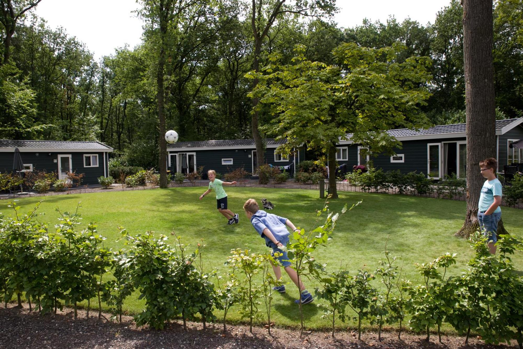 Vakantiepark Bonte Vlucht Doorn Esterno foto